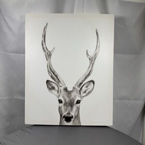 Stupell Industries Deer Antler Drawing  On White Canvas
